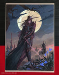 Vampire Hunter D A4 art print